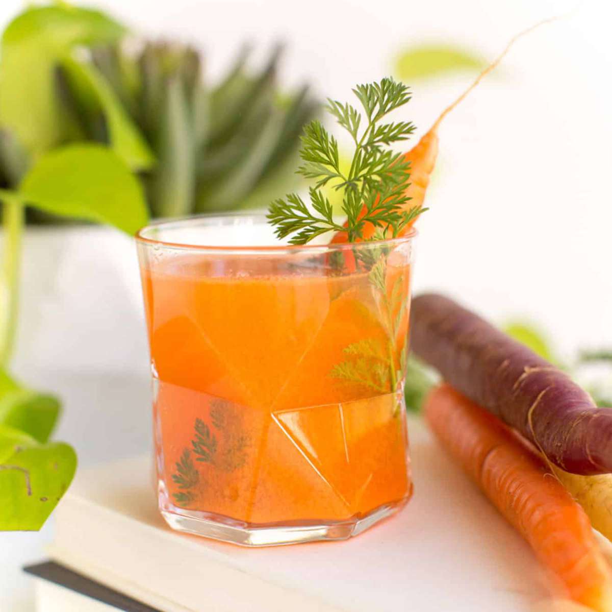 Carrot Cocktail
